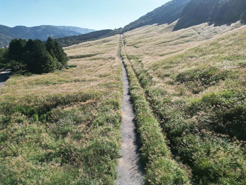 Sengoku plateau 仙石高原 - Image 2