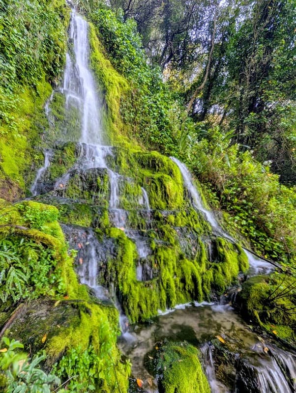 Centennial Garden Waterfall - Image 2