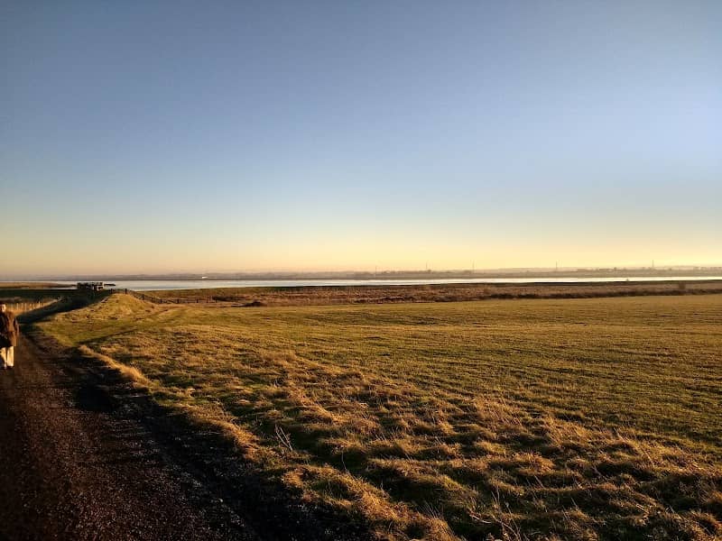 Elmley National Nature Reserve - Image 2