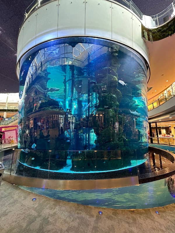 Mall Aquarium - Image 1