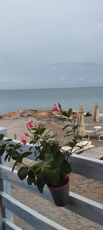 Punta Lena - Image 1