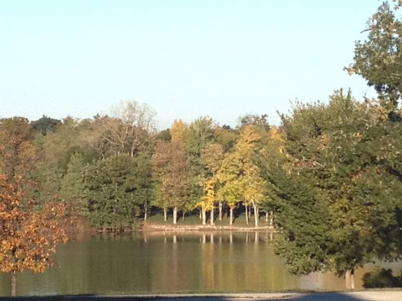 Lake Hills Park - Image 2