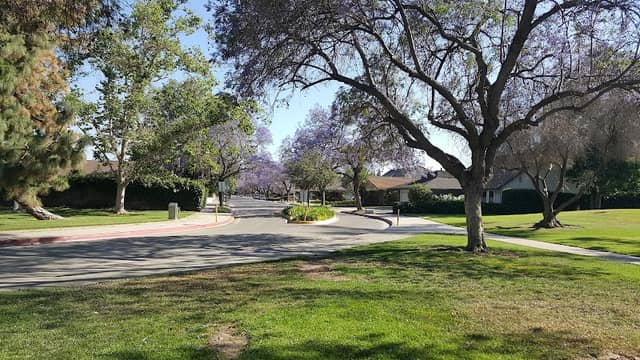 Cerritos Park East - Image 2