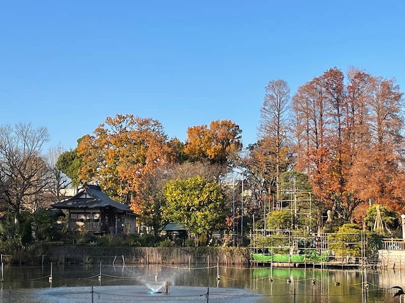 Himon-ya Park - Image 2