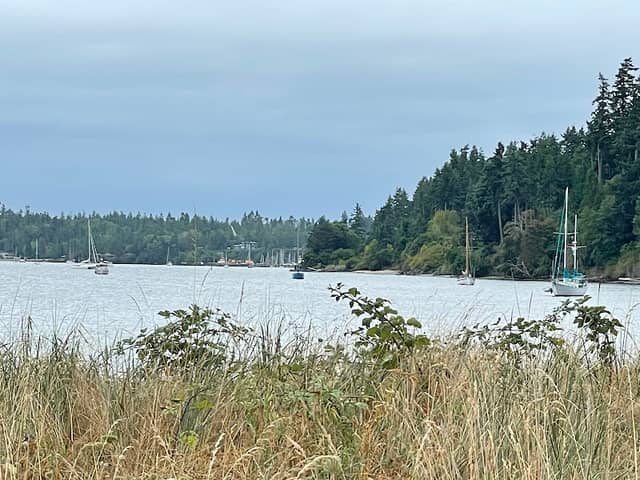 Irondale Beach County Park - Image 3