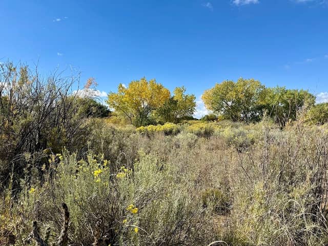 El Camino Real Park Trailhead - Image 2