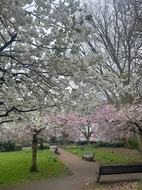 Queen Elizabeth Park - Image 1