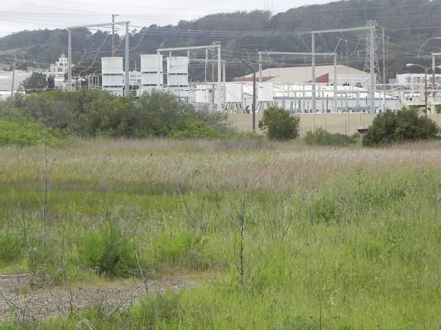 Visitacion Creek Marsh - Image 2