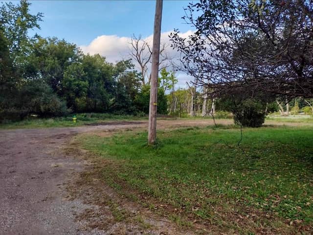 Wilbeth Wetland - Image 1
