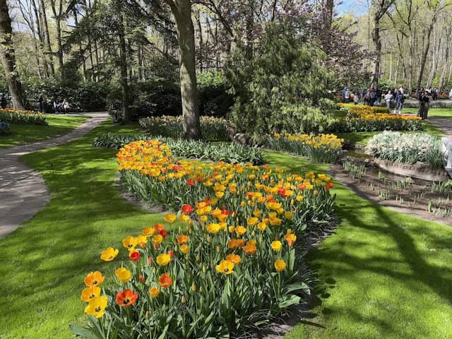 Keukenhof - Image 2