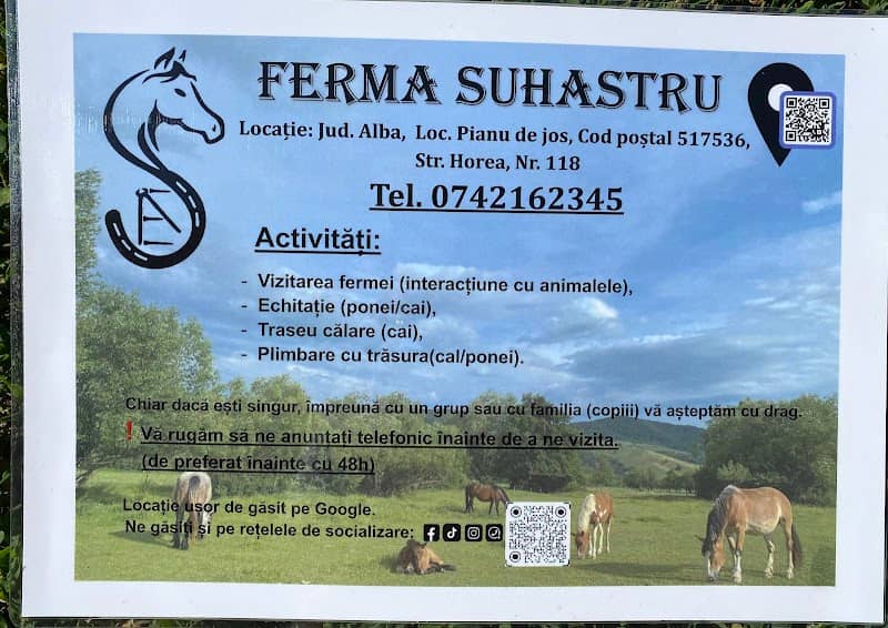 Ferma Suhastru - Image 1
