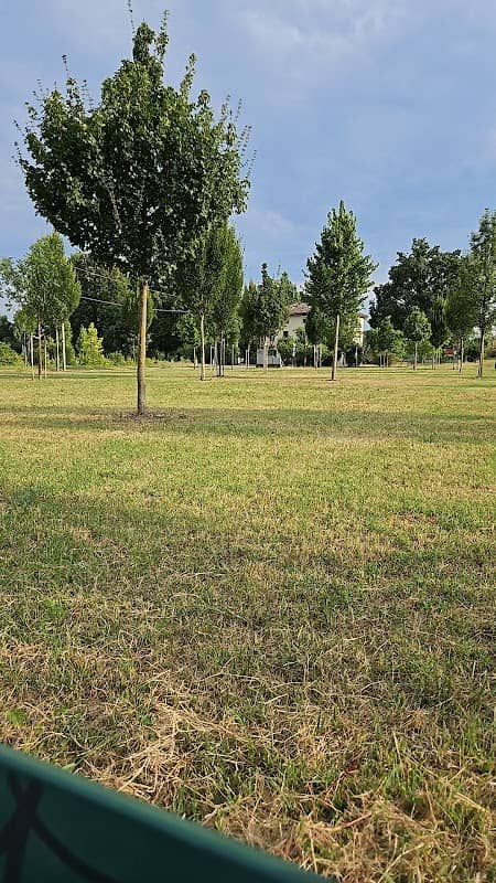 Parco strano - Image 2