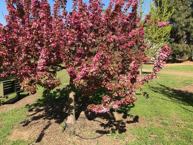 Hughson Arboretum and Gardens - Image 2