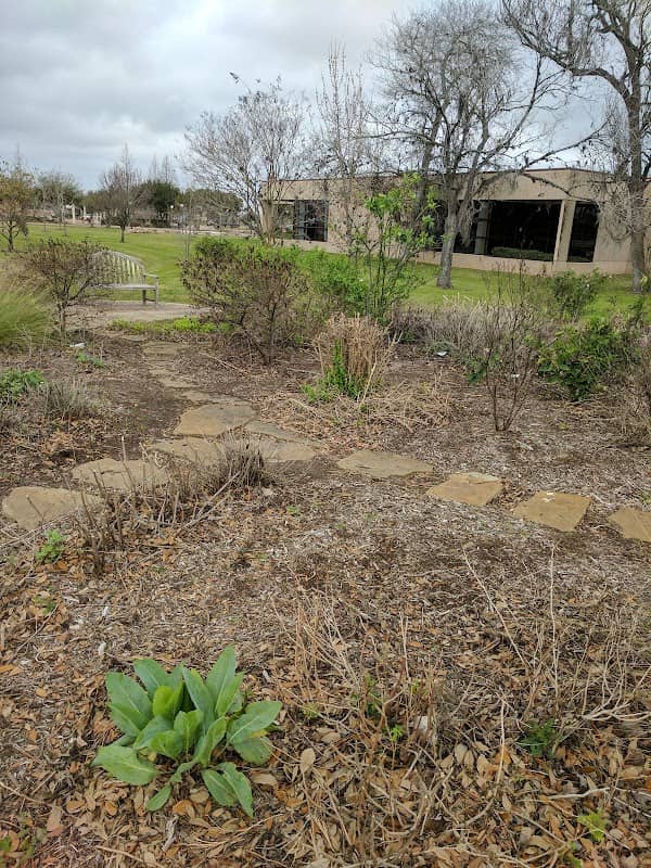 Charlie Ballard Butterfly Garden - Image 1