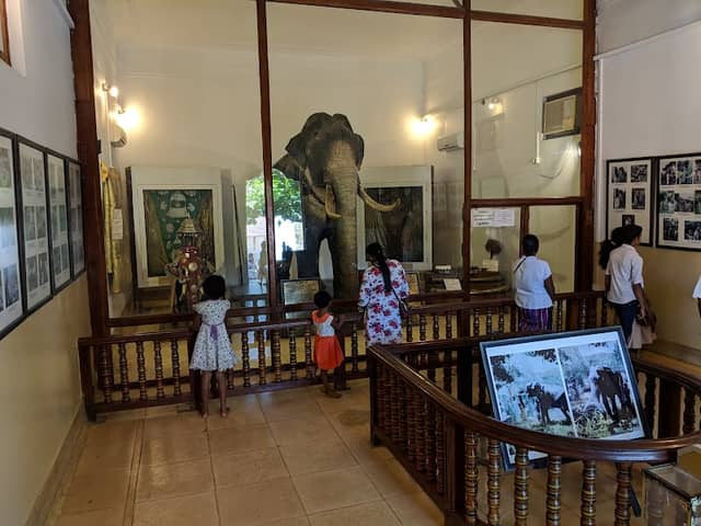 Museum of the Tusker Rajah - Image 1