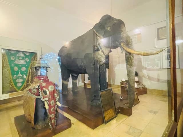 Museum of the Tusker Rajah - Image 2