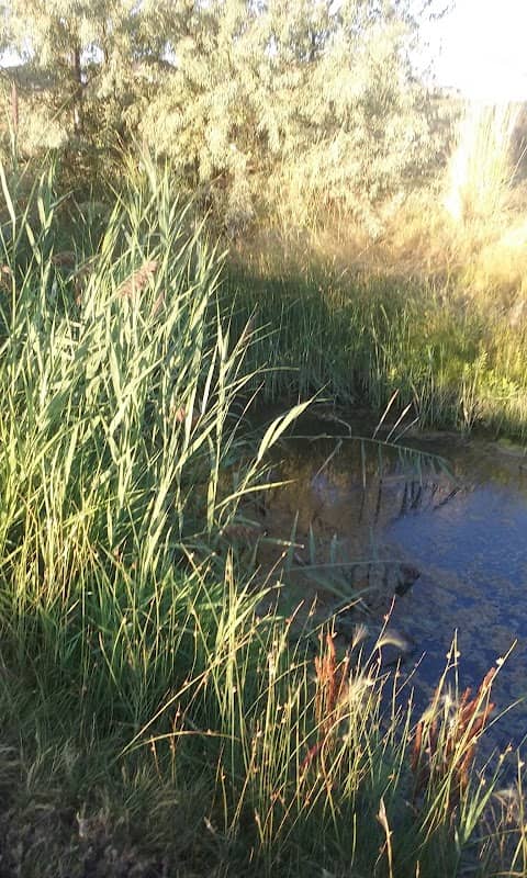 Country Haven Park - Image 2