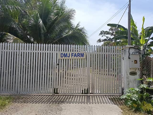 DMJ FARM - Image 1