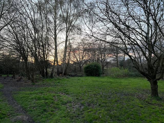 Birchbrook Nature Reserve - Image 1