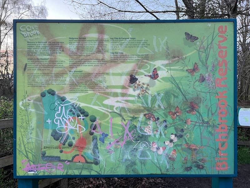 Birchbrook Nature Reserve - Image 2