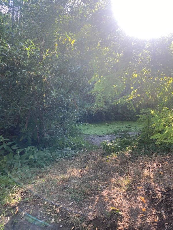 Forrás - Image 1