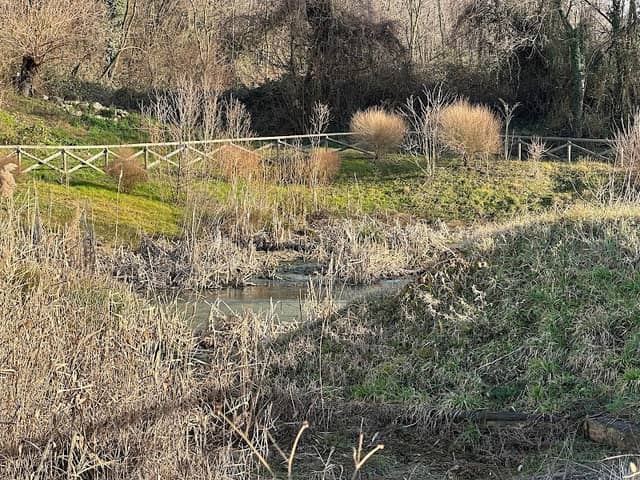 Capiago Phytoremediation Plant - Image 2