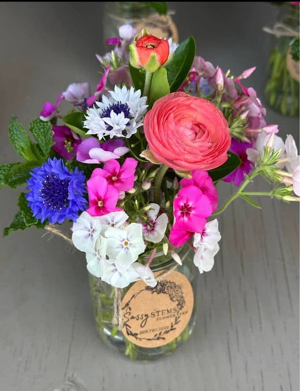 Sassy Stems - Image 2