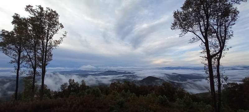 US Forest Service - Image 1