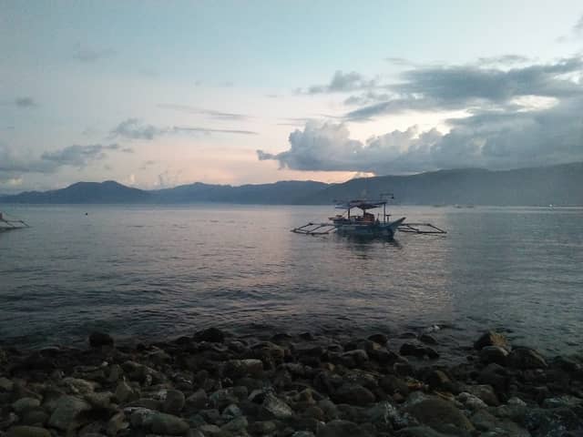 Paltic beach - Image 1