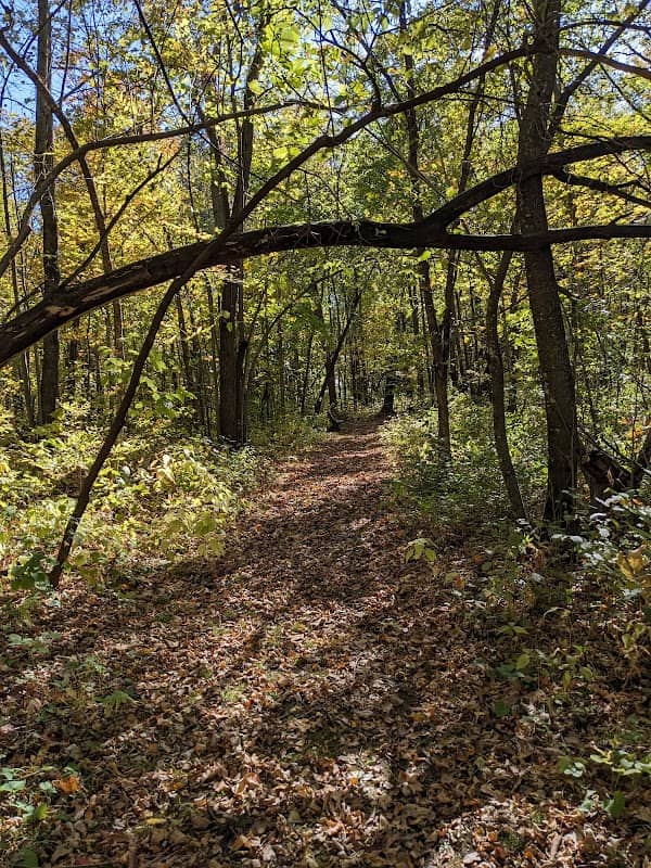 Richter Woods County Park - Image 3