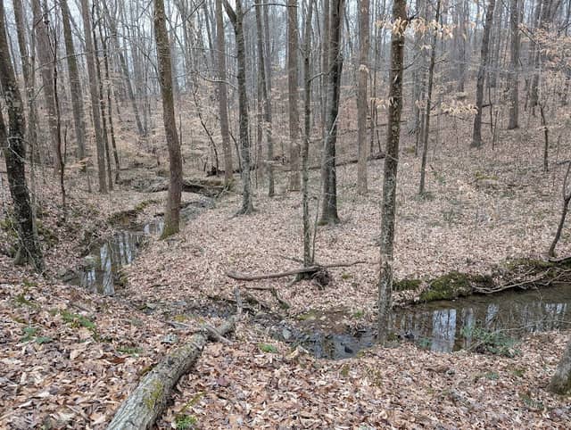 Roberts Chapel Conservation Area - Image 1