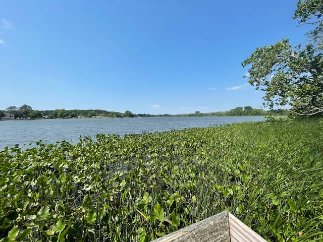 Wicomico River Overlook - Image 2