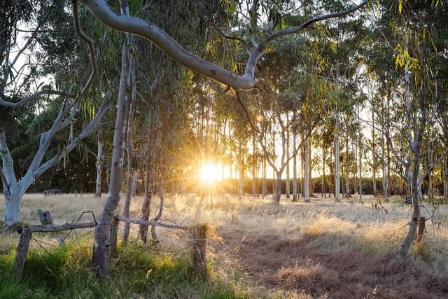 11 Acre Farm - Image 1