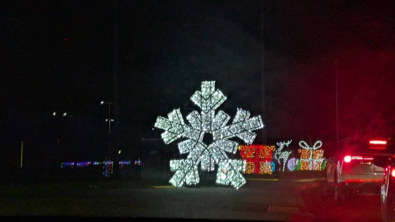 Hillsboro Lightopia Display - Image 1
