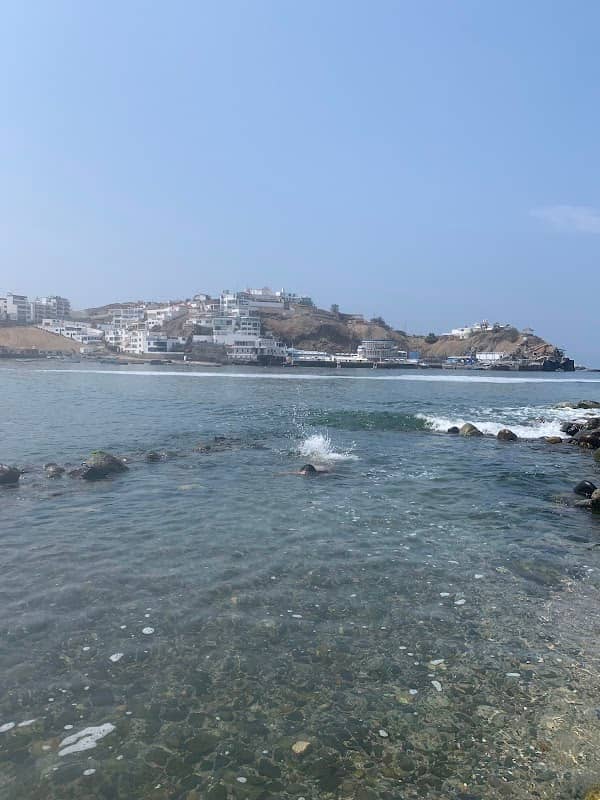 Espigón Rivera Sur Baja - Image 1