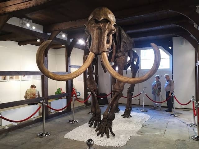 Heimatmuseum - Image 1