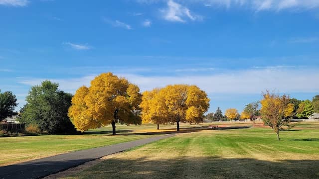 Dykstra Park - Image 2