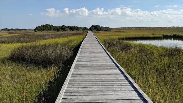 Fort Fisher State Recreation Area - Image 3