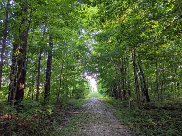 Pehkokia Woods - ACRES Land Trust - Image 1