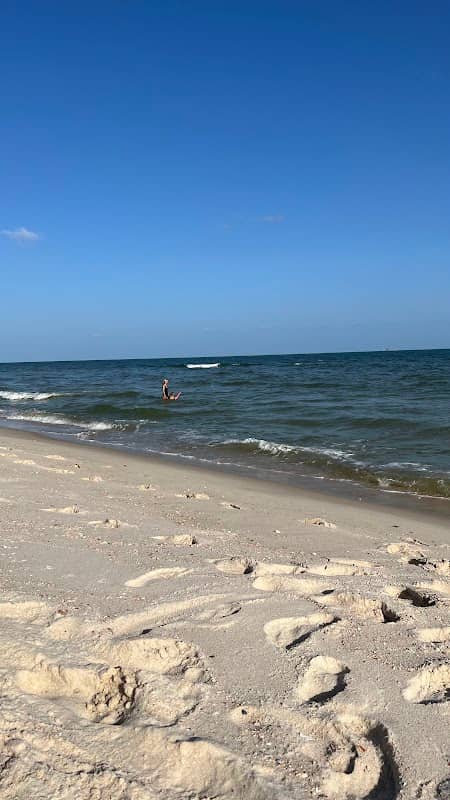 Dauphin Island - Image 1