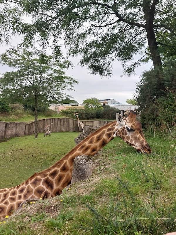 Kifaru Ranger Station - Image 1
