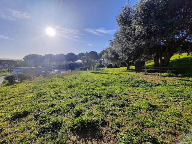 Parco di Via G. Gronchi - Image 2