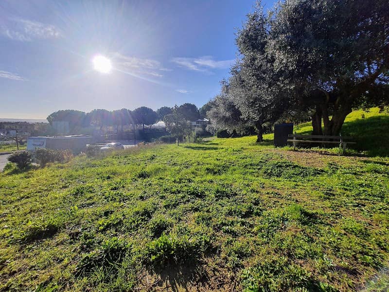 Parco di Via G. Gronchi - Image 2