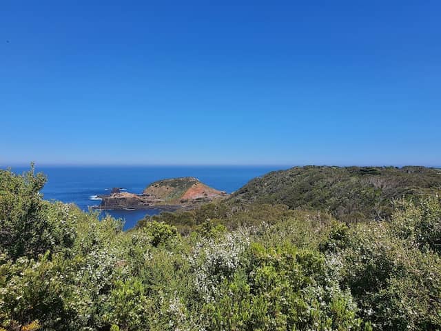 Black Rock Beach Lookout - Image 3
