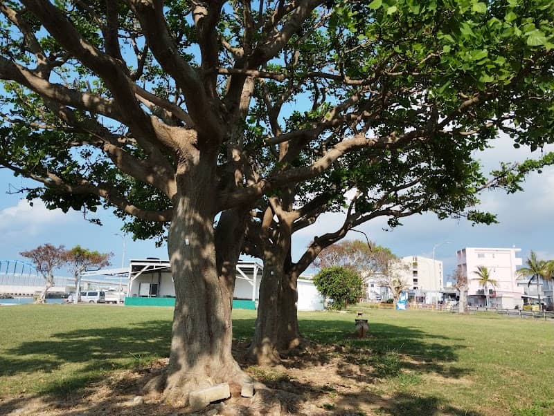 海人広場 - Image 3