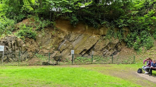 Geologischer Garten Bochum - Image 2