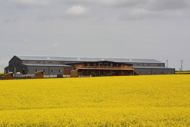 Prairie Mountain Ranch - Image 1