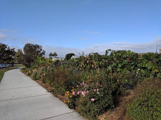 Sunrise Community Garden - Image 1
