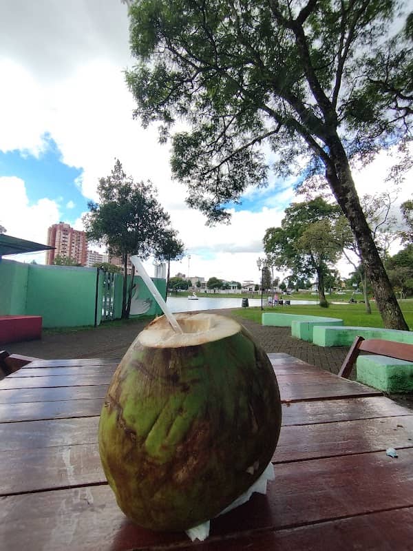 Pedalinho da Lagoa - Image 1