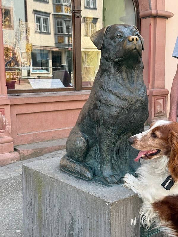 Rottweiler Statue - Stadtmuseum Rottweil - Image 1
